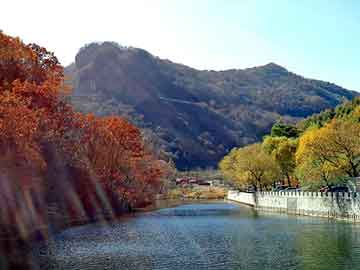 新澳门期期准精准，大家乐彩票机